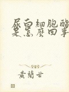 尿白细胞酯酶高是怎么回事