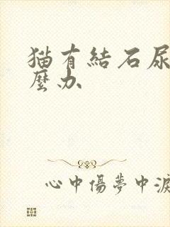 猫有结石尿血怎么办