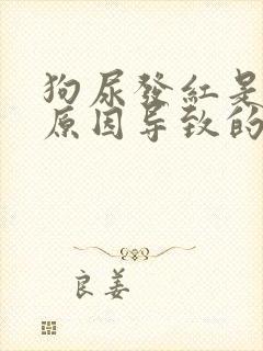 狗尿发红是什么原因导致的