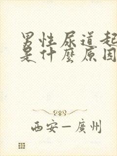 男性尿道起水泡是什么原因