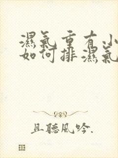 湿气重有小肚子如何排湿气