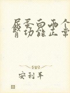 尿蛋白两个加号肾功能正常什么原因