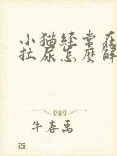 小猫经常在床上拉尿怎么解决