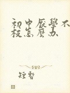 初中厌学不去学校怎么办