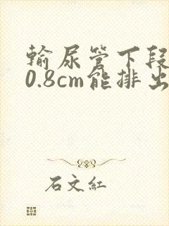 输尿管下段结石0.8cm能排出来吗