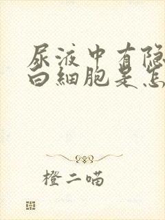 尿液中有隐血和白细胞是怎么回事