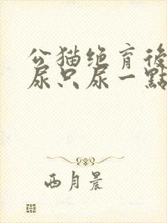 公猫绝育后频繁尿只尿一点