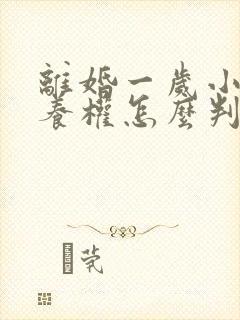 离婚一岁小孩抚养权怎么判