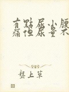 有点尿小腹就胀痛但尿量不多