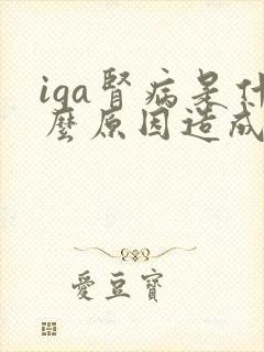 iga肾病是什么原因造成的