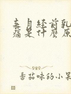 来月经前乳房胀痛是什么原因有哪些