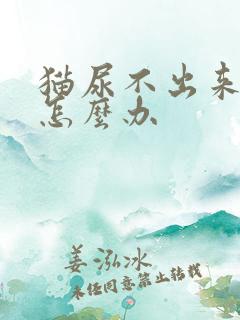 猫尿不出来尿血怎么办