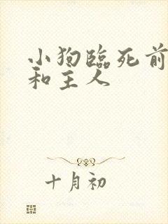 小狗临死前最想和主人