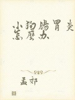 小狗肠胃炎呕吐怎么办