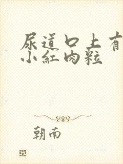 尿道口上有好多小红肉粒