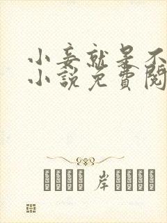 小妾就是不斗妻小说免费阅读