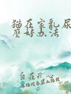 猫在家乱尿有什么好办法