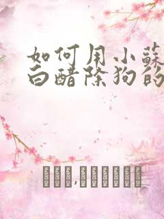 如何用小苏打和白醋除狗的尿骚味