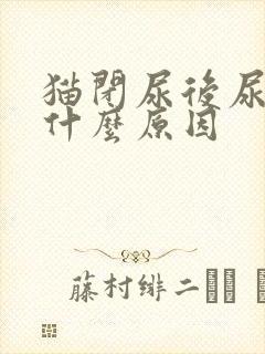 猫闭尿后尿血是什么原因