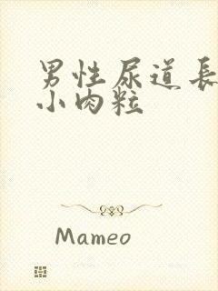 男性尿道长好多小肉粒