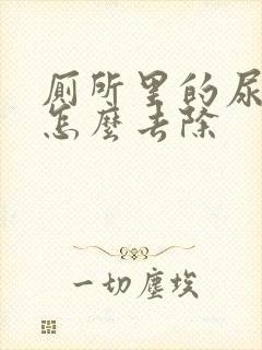 厕所里的尿骚味怎么去除