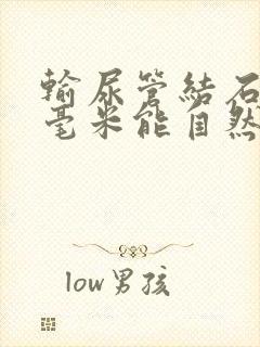 输尿管结石多少毫米能自然排出