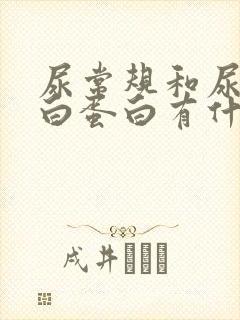 尿常规和尿微量白蛋白有什么区别