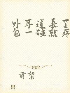 外耳道长了一个包一碰就疼