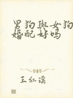 男狗与女狗属相婚配好吗