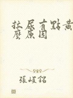 拉尿有点黄是什么原因