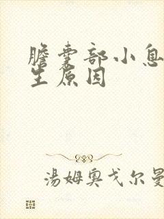 胆囊部小息肉产生原因