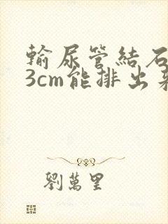 输尿管结石0.3cm能排出来吗