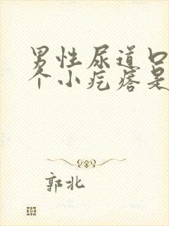 男性尿道口长一个小疙瘩是怎么回事