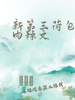 新第三荷包高h肉辣文