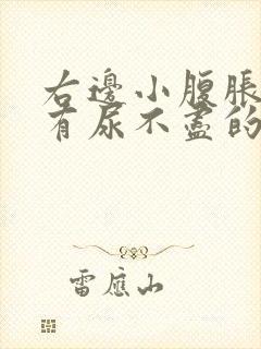 右边小腹胀痛总有尿不尽的感觉什么原因