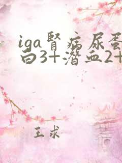 iga肾病尿蛋白3+潜血2+严重吗