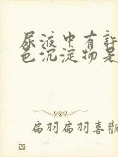 尿液中有许多白色沉淀物是什么原因