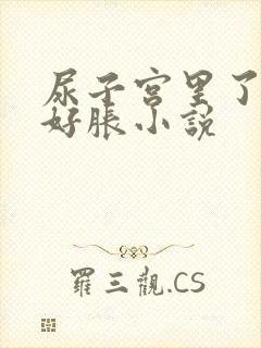 尿子宫里了肚子好胀小说