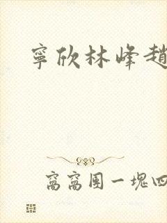 宁欣林峰赵小二