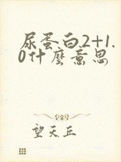 尿蛋白2+1.0什么意思