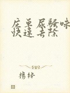 床单尿骚味怎么快速去除