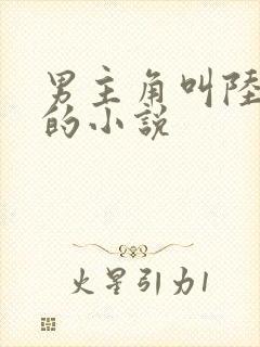 男主角叫陆以深的小说