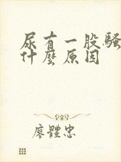 尿有一股骚臭味什么原因