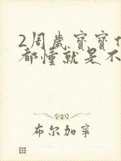 2周岁宝宝什么都懂就是不说话