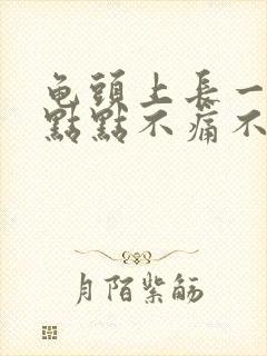 龟头上长一些红点点不痛不痒