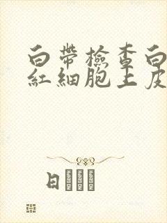 白带检查白细胞红细胞上皮细胞