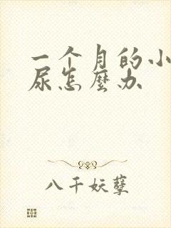 一个月的小猫乱尿怎么办