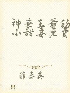 神衰王爷的福运小甜妻免费阅读