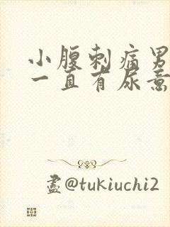 小腹刺痛男 尿一直有尿意