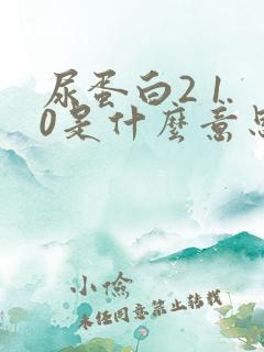 尿蛋白2 1.0是什么意思